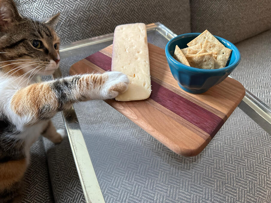 No matter what you put on these cutting boards, no one can resist!